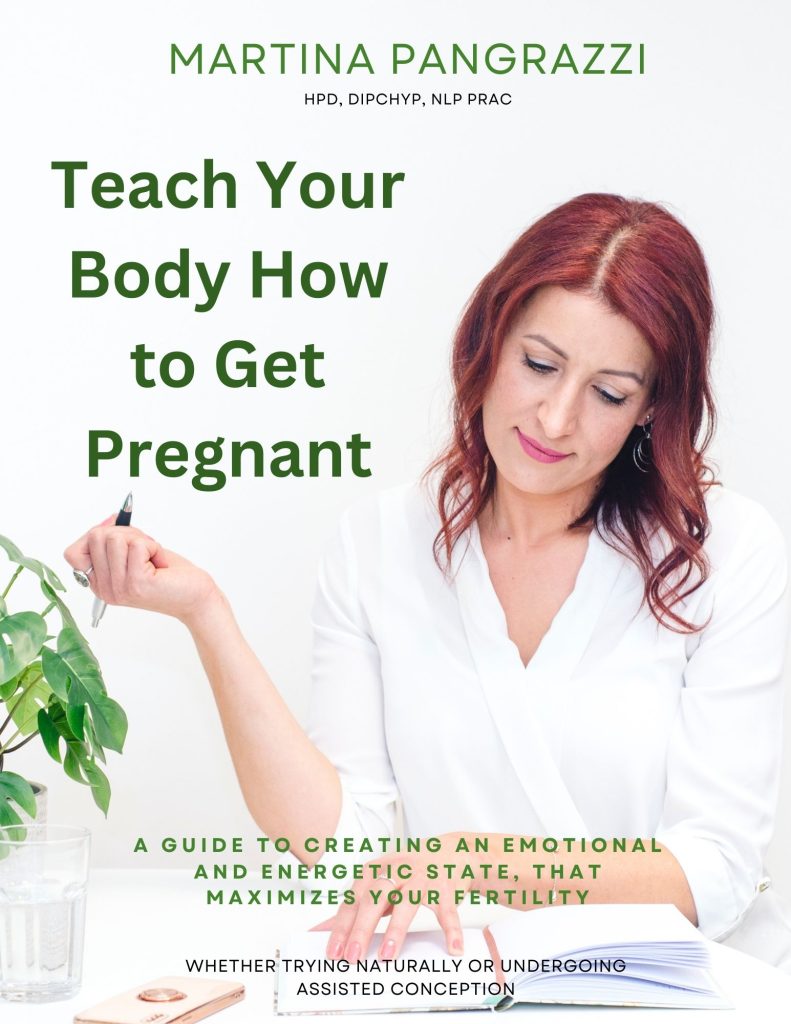 fertility book to attract pregnancy 